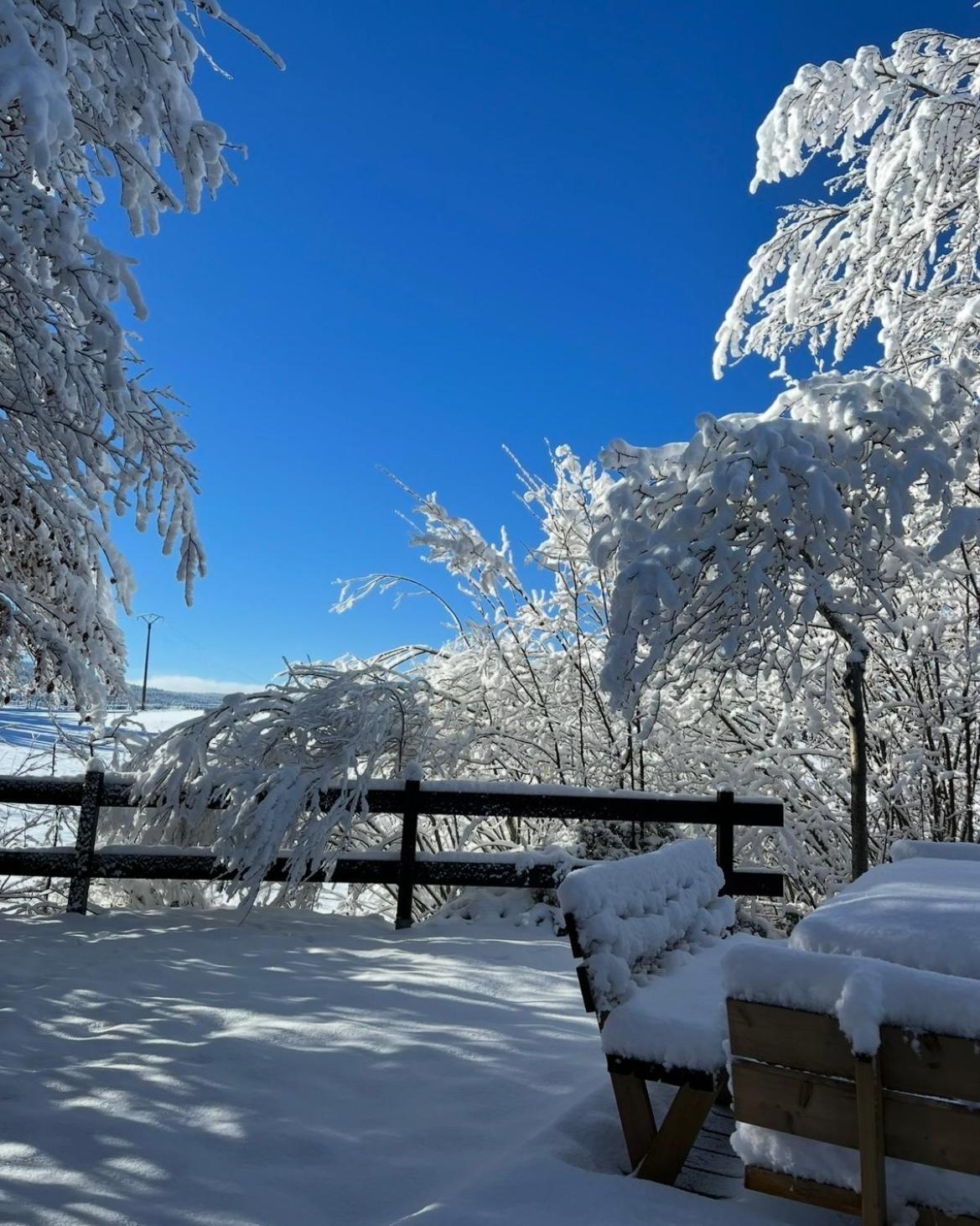 Chalet Cosy Entre Lacs Et Montagnes Métabief المظهر الخارجي الصورة